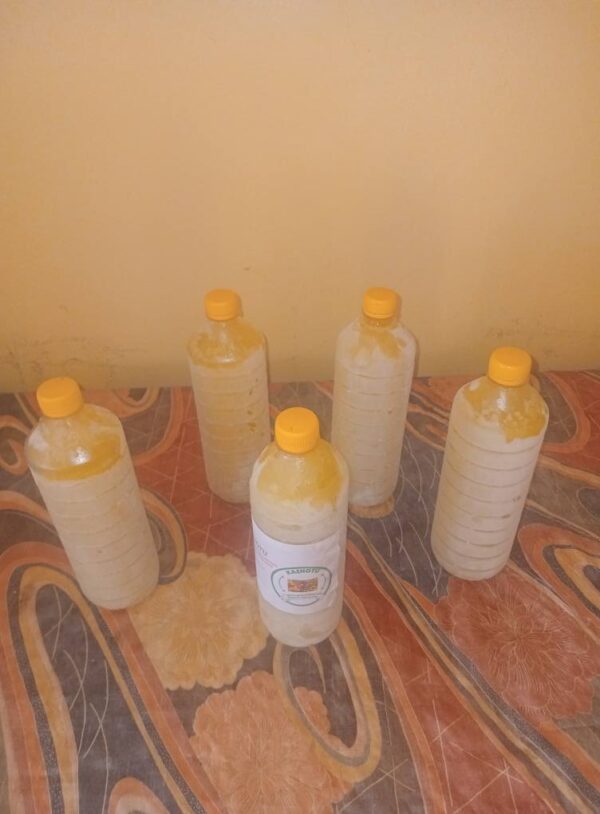 jus de citron pur – pressé à la main & surgelé