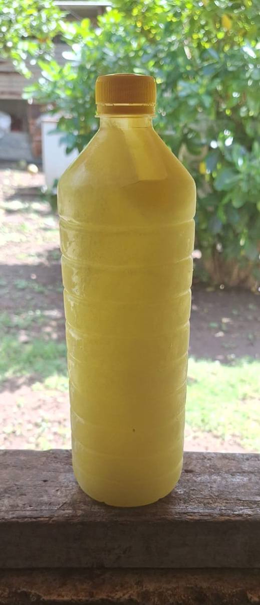 jus de citron pur – pressé à la main & surgelé