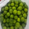 pamplemousse des marquises
