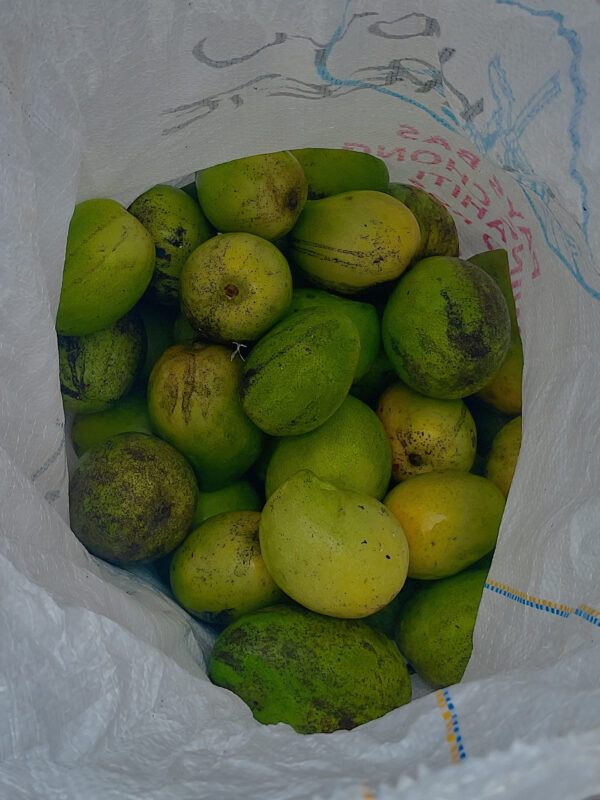 img 1298 resultat img 1298 resultat